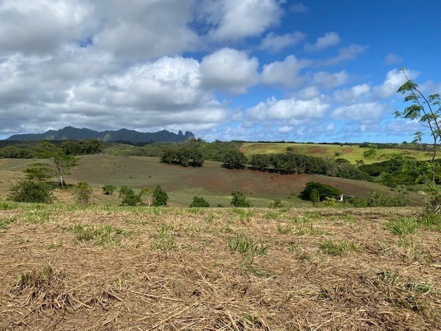 15 Laipo Road Kapaa, HI 96746 - Photo 8 of 8 a view of a lake with houses in the back