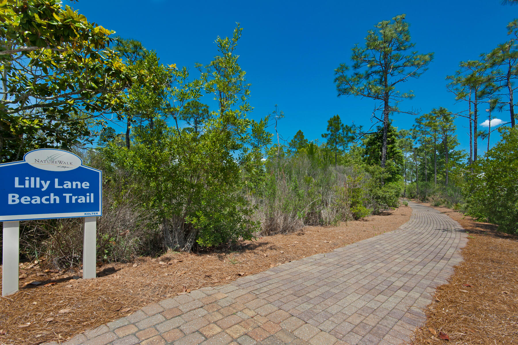 59 Chordgrass Way Santa Rosa Beach, FL 32459 - Photo 71 of 90 29_NatureWalk_20180507_139