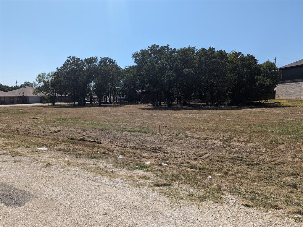 a view of dirt field with trees in background