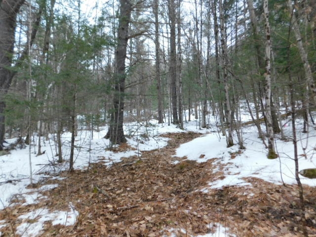 2390 Buffalo Road, Unit 6A Rumney, NH 03266 - Photo 3 of 10