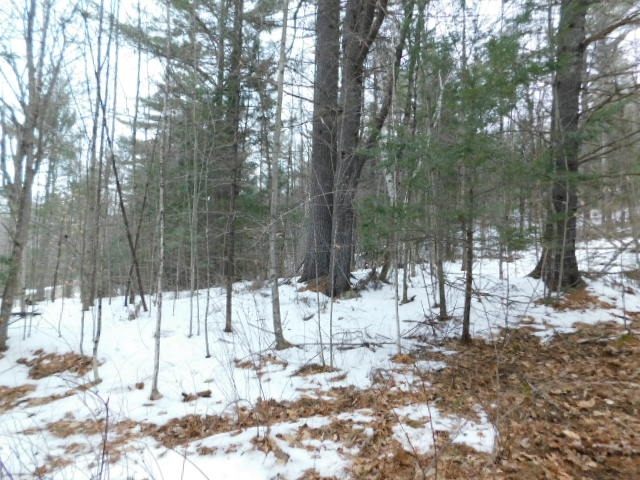 2390 Buffalo Road, Unit 6A Rumney, NH 03266 - Photo 4 of 10