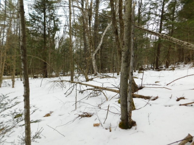2390 Buffalo Road, Unit 6A Rumney, NH 03266 - Photo 5 of 10