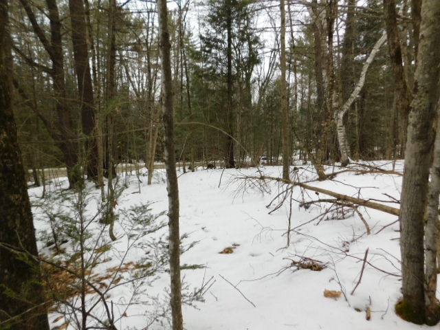 2390 Buffalo Road, Unit 6A Rumney, NH 03266 - Photo 6 of 10