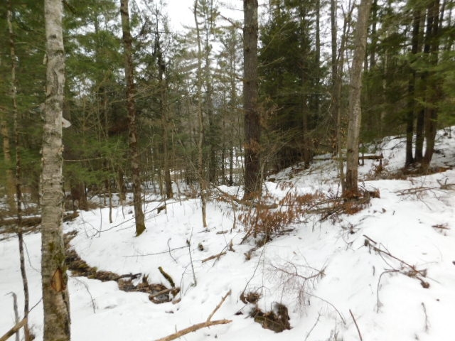 2390 Buffalo Road, Unit 6A Rumney, NH 03266 - Photo 7 of 10