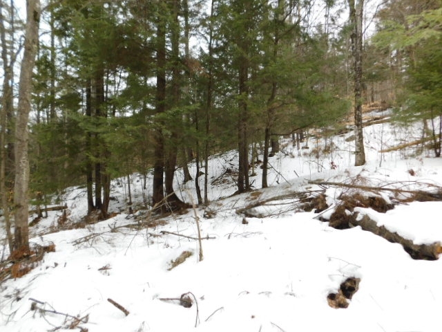 2390 Buffalo Road, Unit 6A Rumney, NH 03266 - Photo 8 of 10