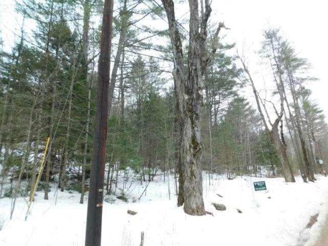 2390 Buffalo Road, Unit 6A Rumney, NH 03266 - Photo 9 of 10