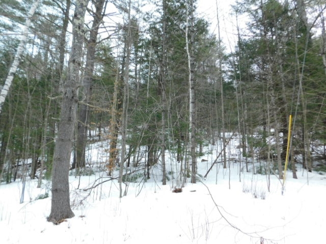 2390 Buffalo Road, Unit 6A Rumney, NH 03266 - Photo 10 of 10