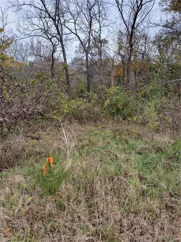 $350,000 | 2 East E Highway, Cleveland, MO 64734