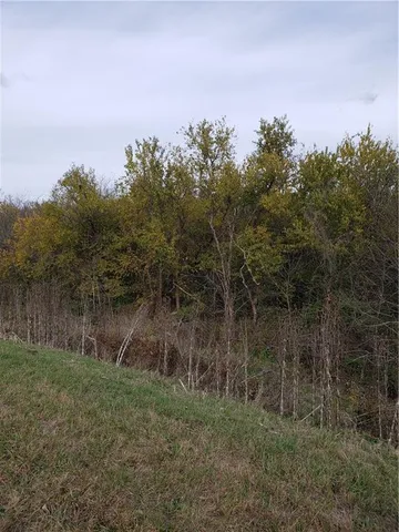 $350,000 | 2 East E Highway, Cleveland, MO 64734