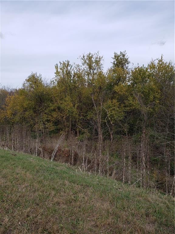 2 East E Highway Cleveland, MO 64734 - Photo 3 of 6