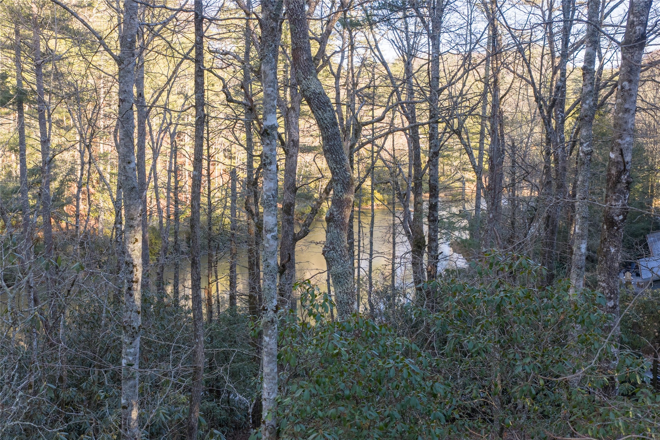 349 Lance Road Cashiers, NC 28717 - Photo 11 of 23 Gallery Image 11