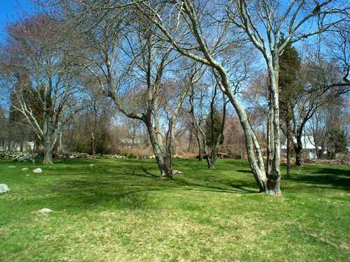 Yard/Garden.