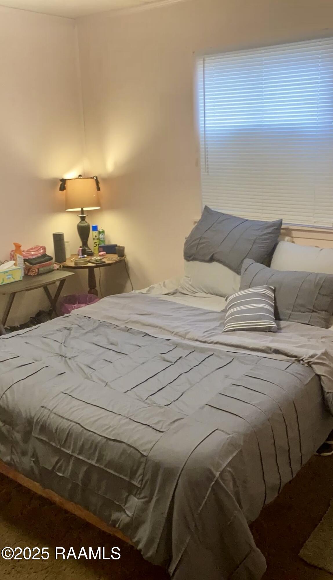 201 Brothers Road Scott, LA 70583 - Photo 8 of 12 IMG_6499