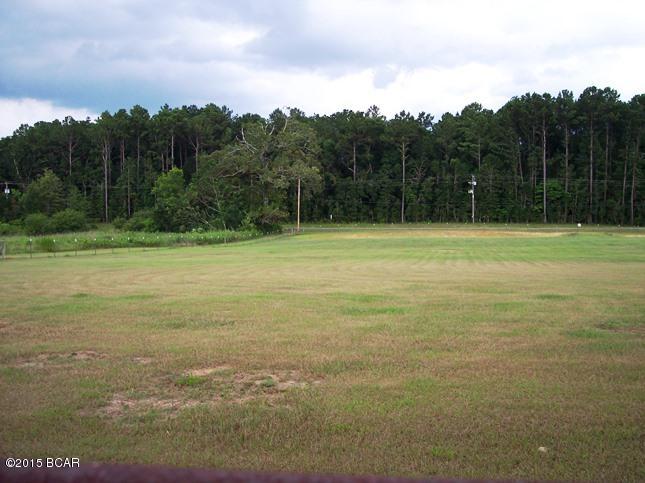 848 Alford Road Chipley, FL 32428 - Photo 2 of 4