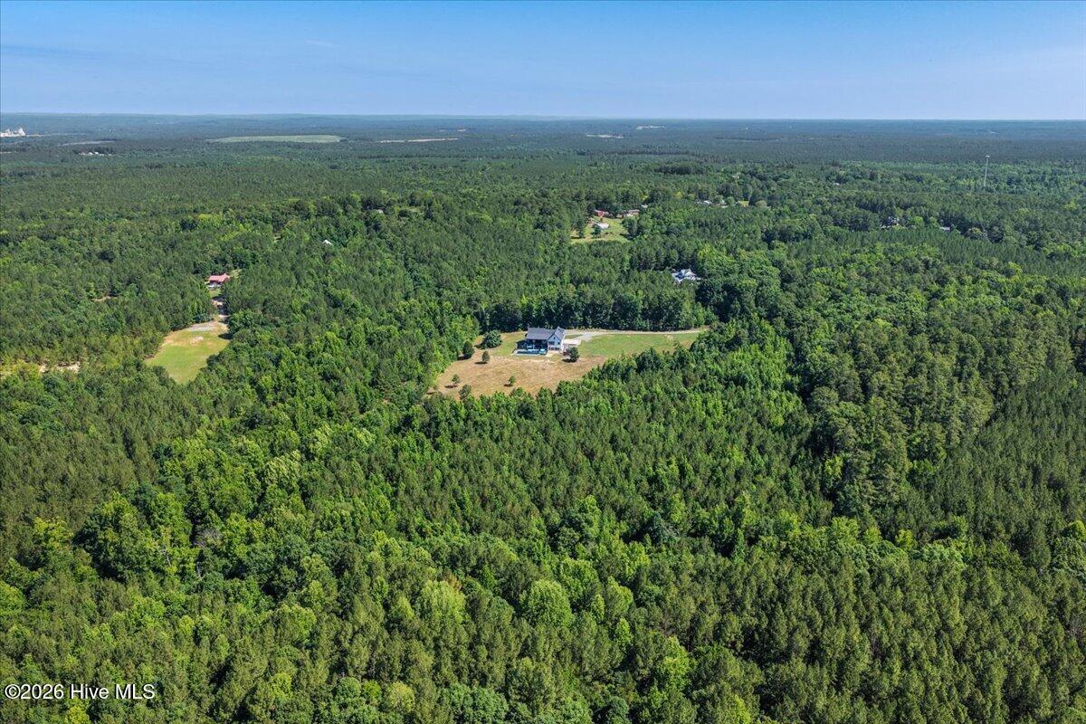 290 Old Chevy Road Moncure, NC 27559 - Photo 9 of 117
