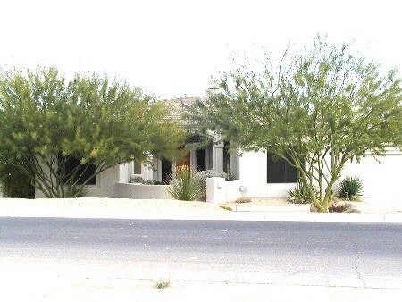 27919 Tranquilo Way Rio Verde, AZ 85263 - Photo 1 of 6 Primary Photo
