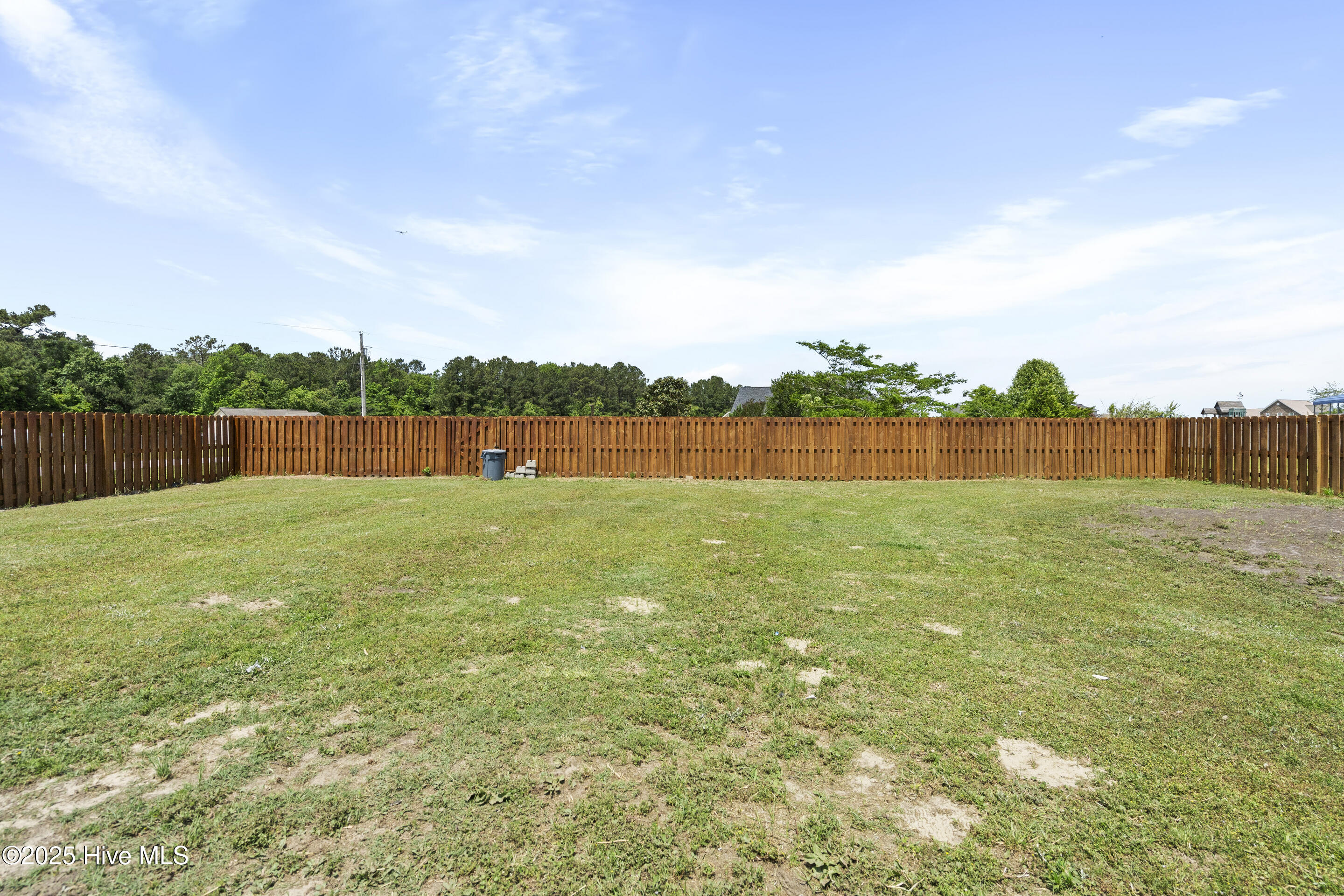 201 Cherry Blossom Drive Richlands, NC 28574 - Photo 34 of 47 mls-DSC01192