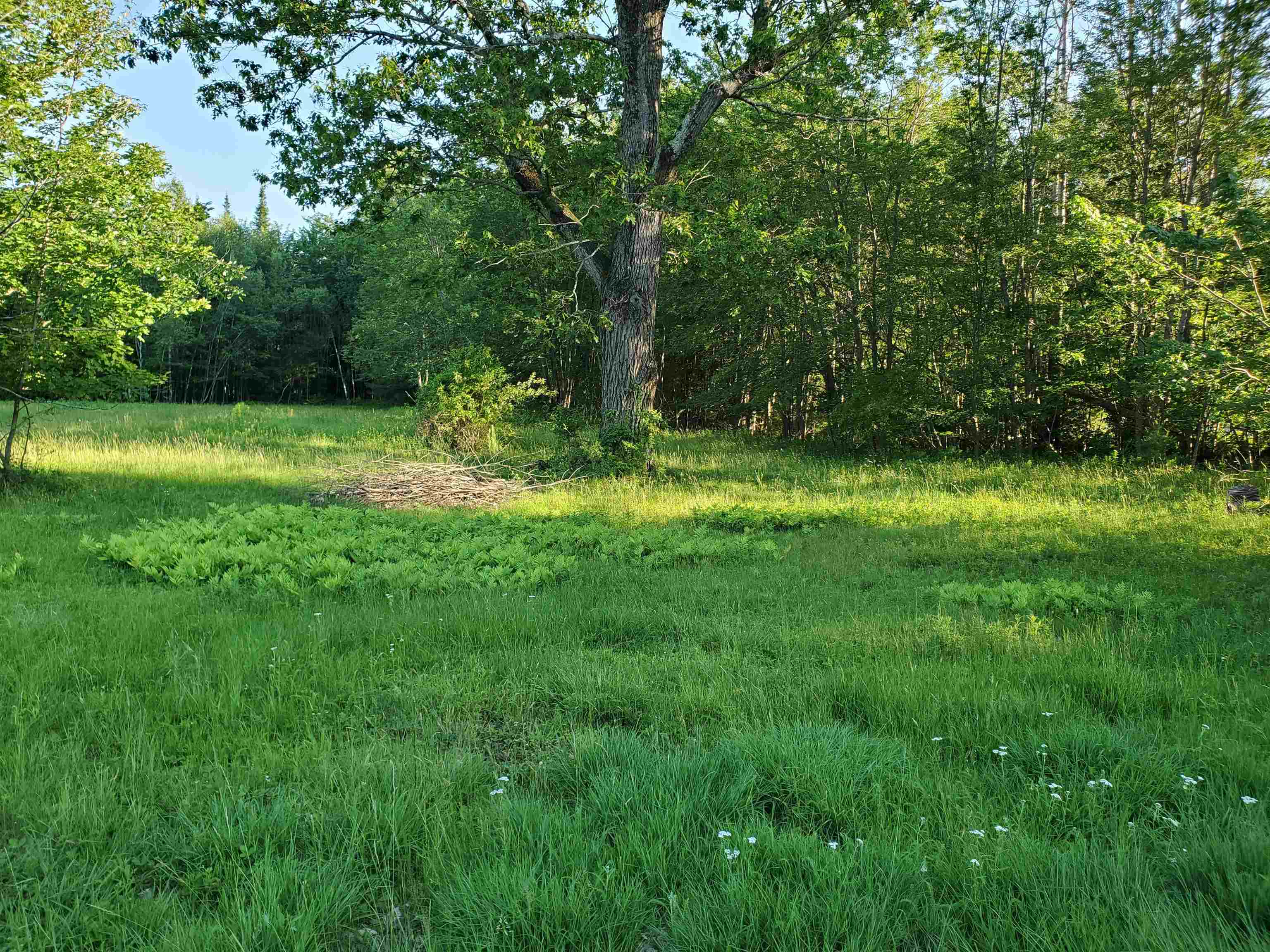Lot 19 Village Road Freedom, NH 03836 - Photo 1 of 4