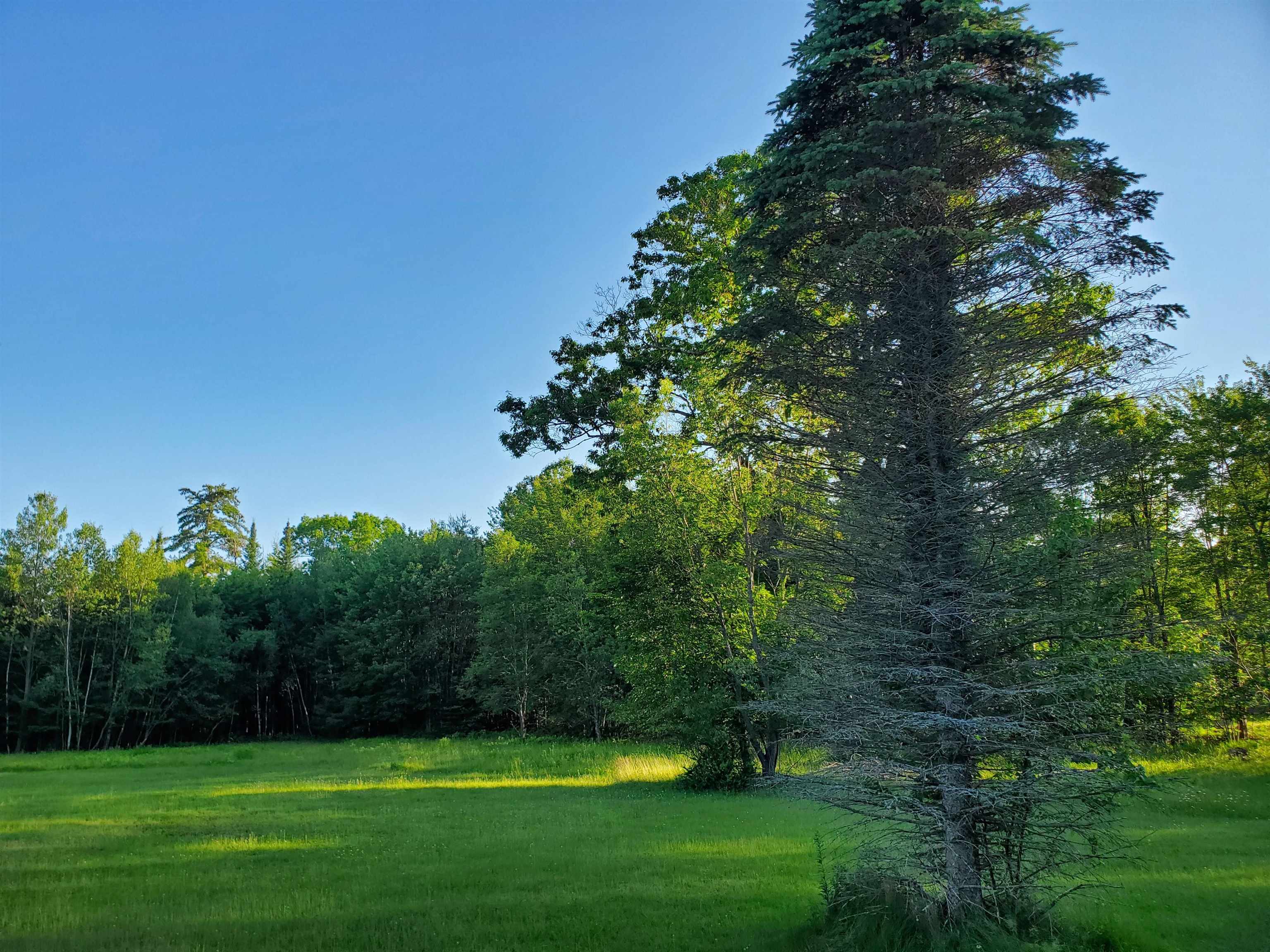 Lot 19 Village Road Freedom, NH 03836 - Photo 2 of 4