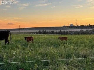 $3,500,000 | 1201 Highway 26, Madras, OR 97741