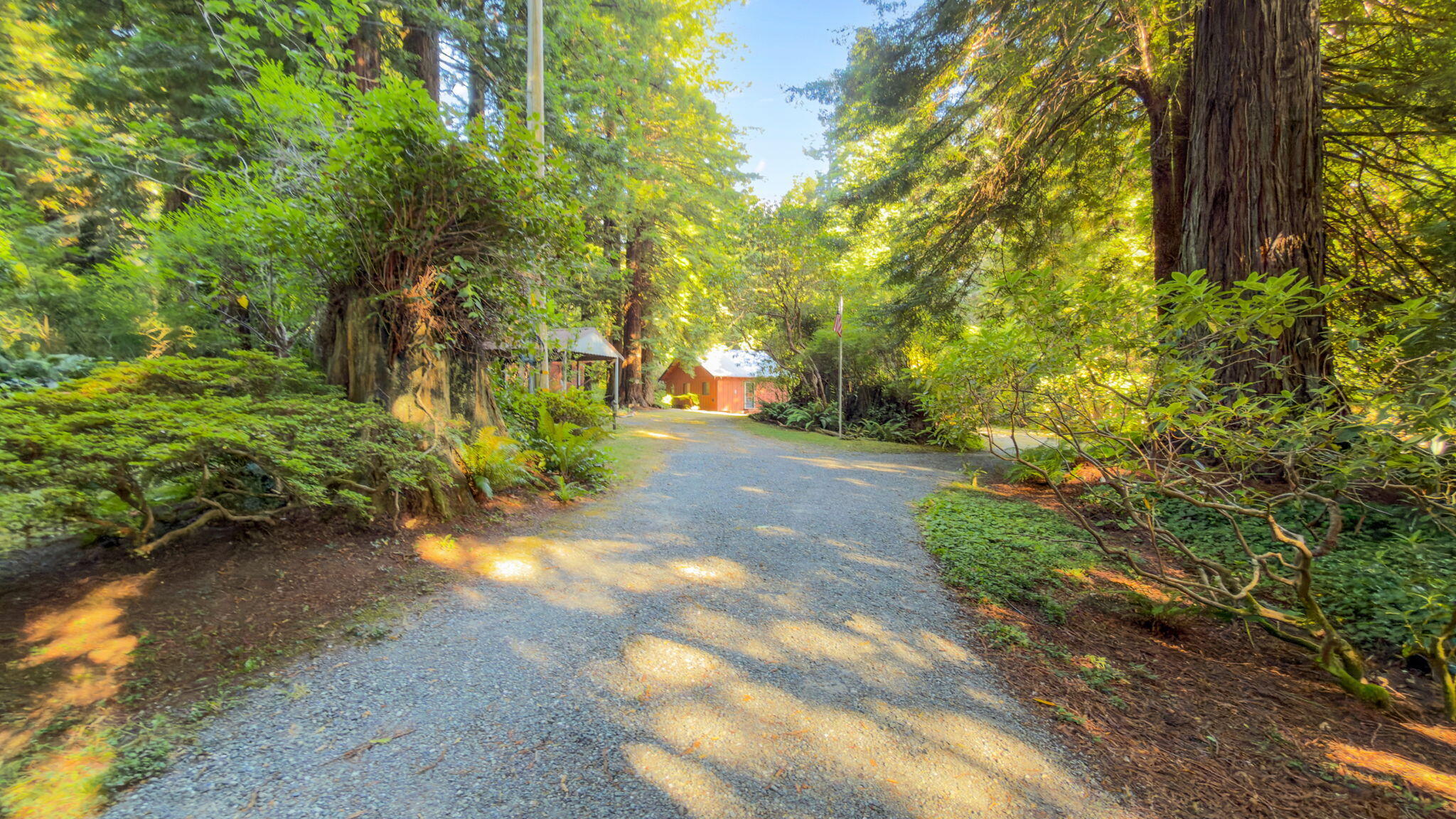 68 Fox Farm Road Trinidad, CA 95570 - Photo 9 of 62 Gallery Image 9