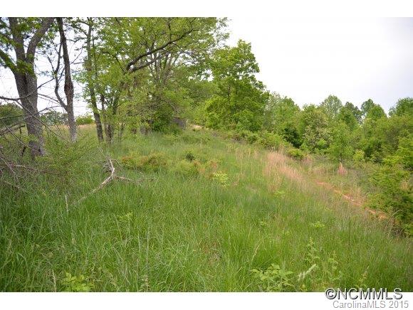 10 Bell Sprinkle Road Weaverville, NC 28787 - Photo 1 of 1 Gallery Image 1