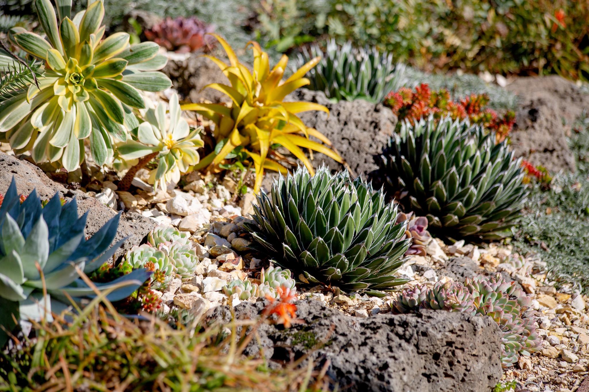 3570 Jordan Road Oakland, CA 94619 - Photo 43 of 60