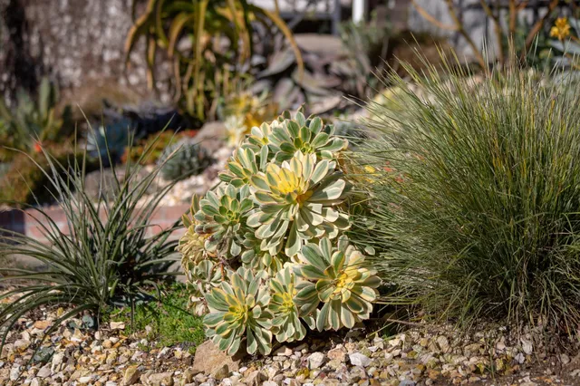 $998,000 | 3570 Jordan Road, Oakland, CA 94619