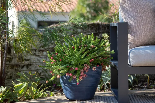 $998,000 | 3570 Jordan Road, Oakland, CA 94619