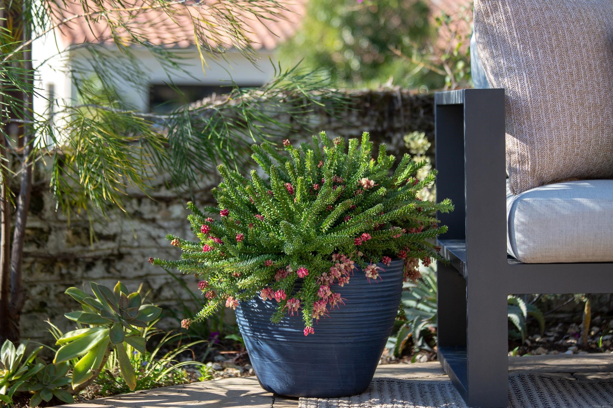 3570 Jordan Road Oakland, CA 94619 - Photo 48 of 60