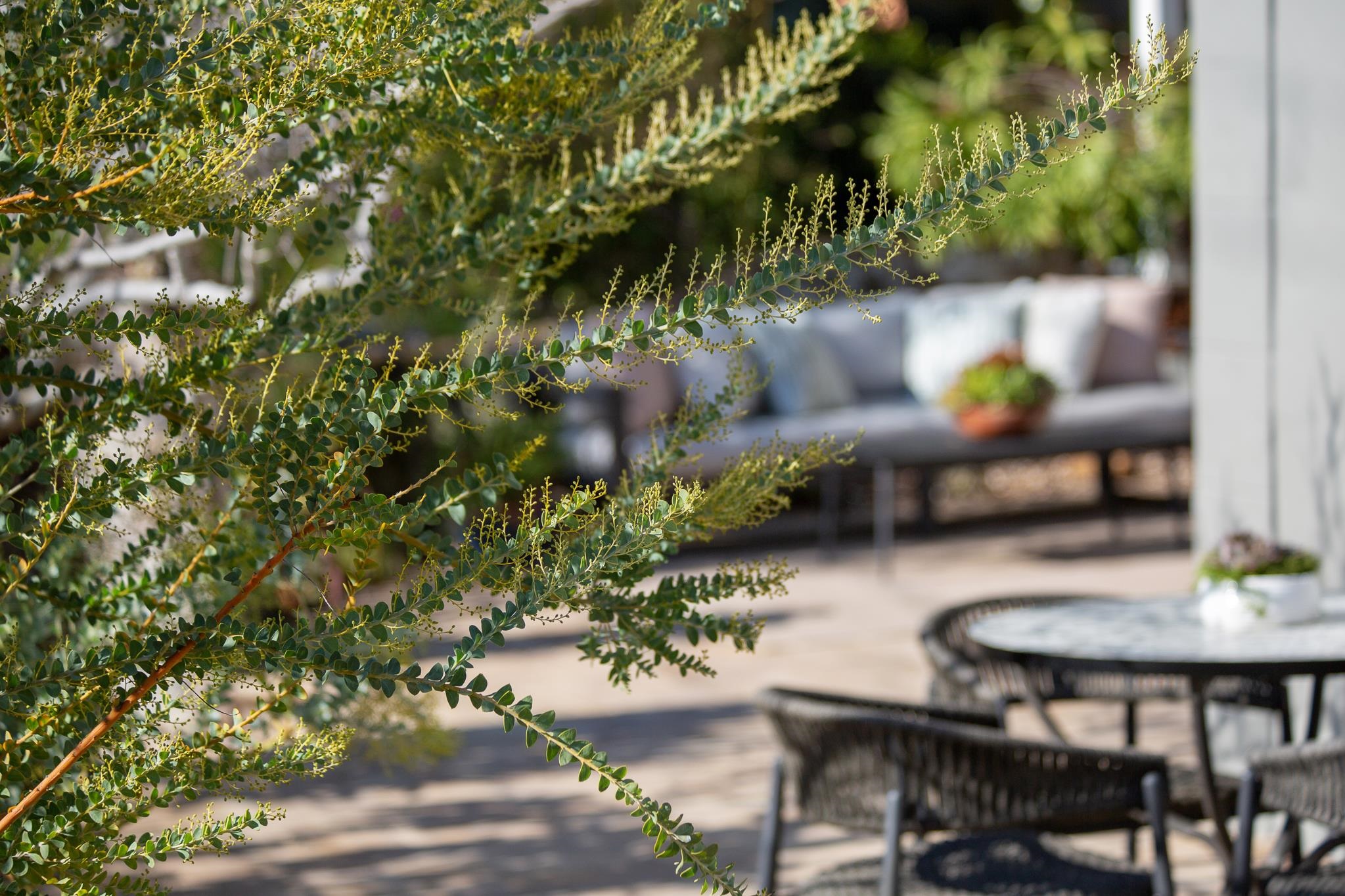 3570 Jordan Road Oakland, CA 94619 - Photo 53 of 60