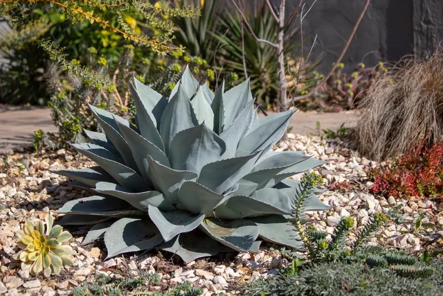 $998,000 | 3570 Jordan Road, Oakland, CA 94619