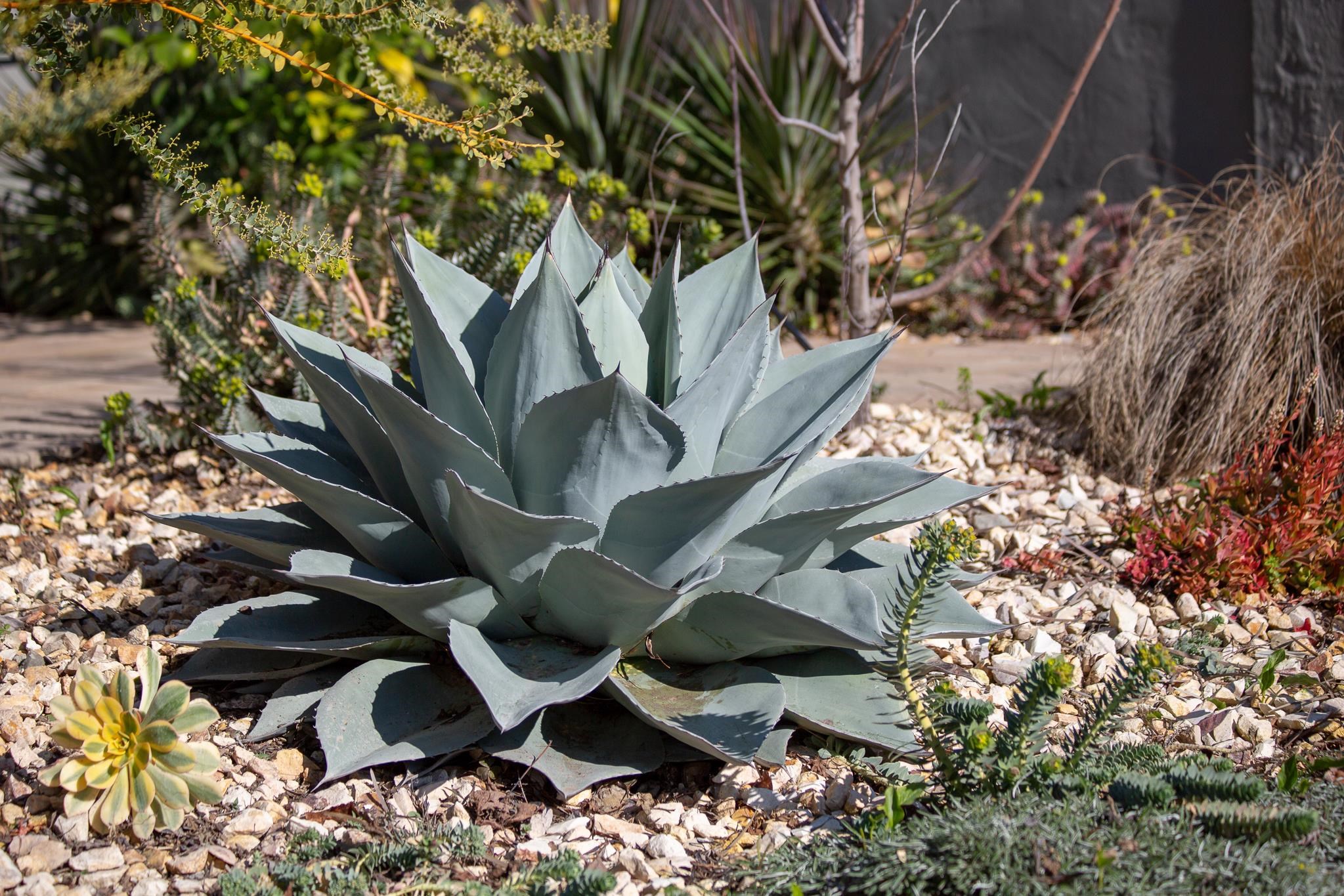 3570 Jordan Road Oakland, CA 94619 - Photo 56 of 60