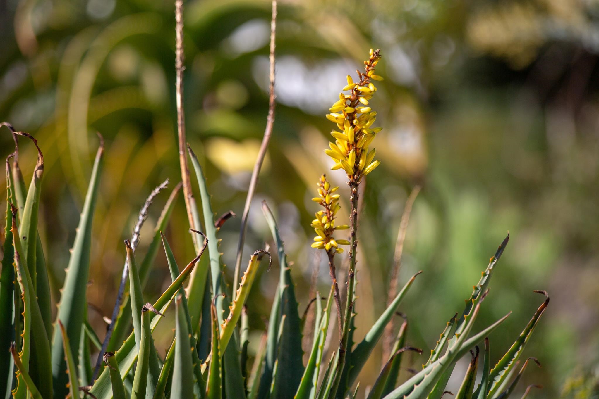 3570 Jordan Road Oakland, CA 94619 - Photo 57 of 60