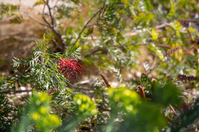 $998,000 | 3570 Jordan Road, Oakland, CA 94619