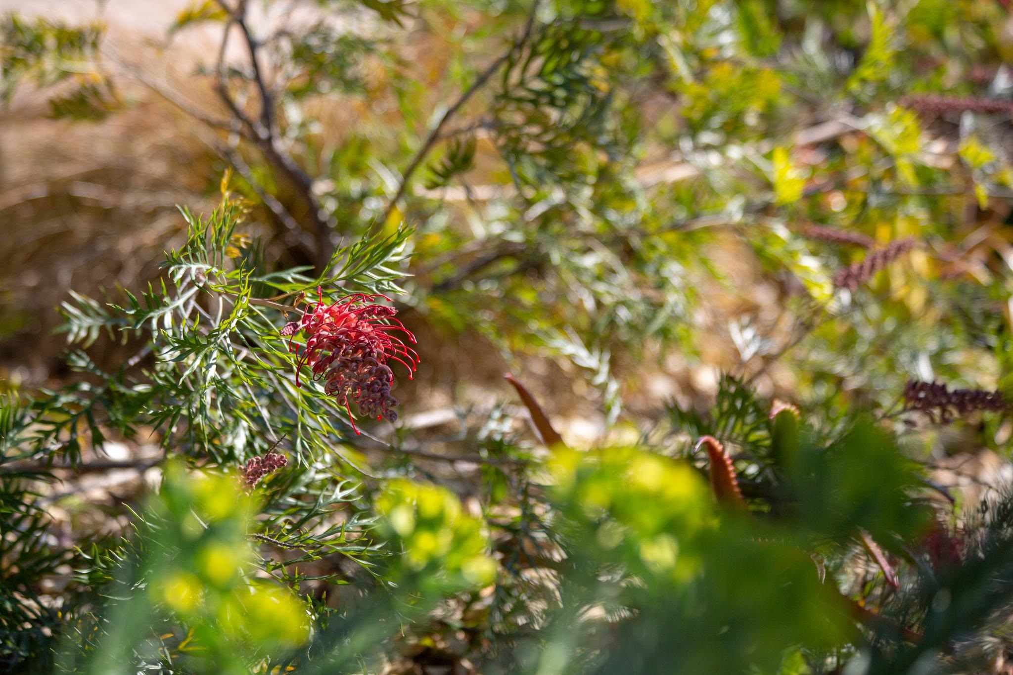 3570 Jordan Road Oakland, CA 94619 - Photo 59 of 60