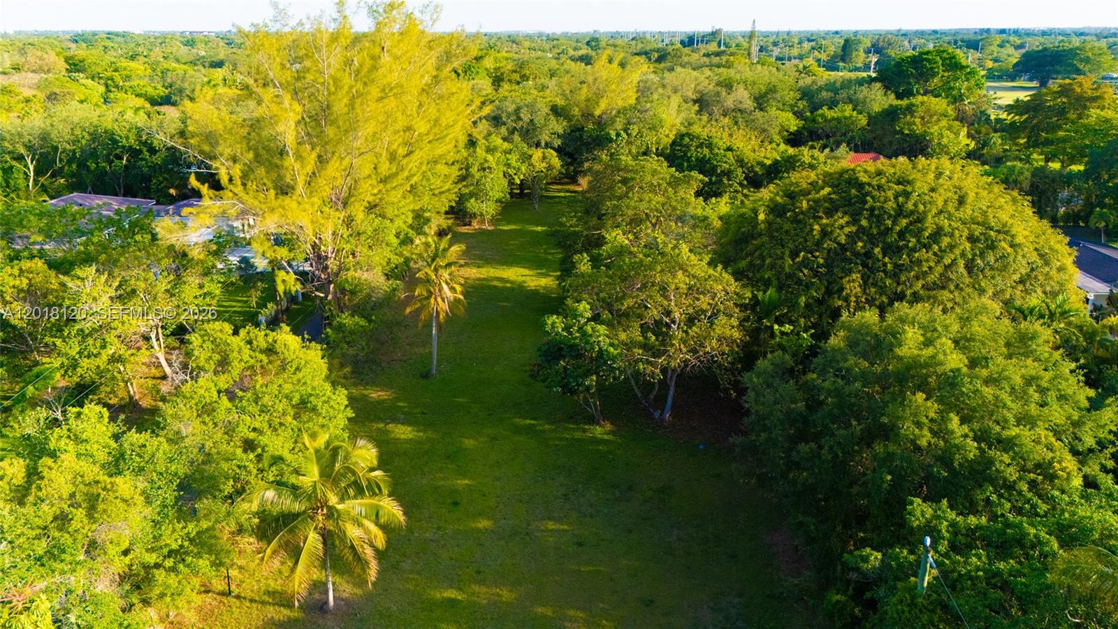 9840 Southwest 104th Street Miami, FL 33176 - Photo 17 of 34 a view of a garden