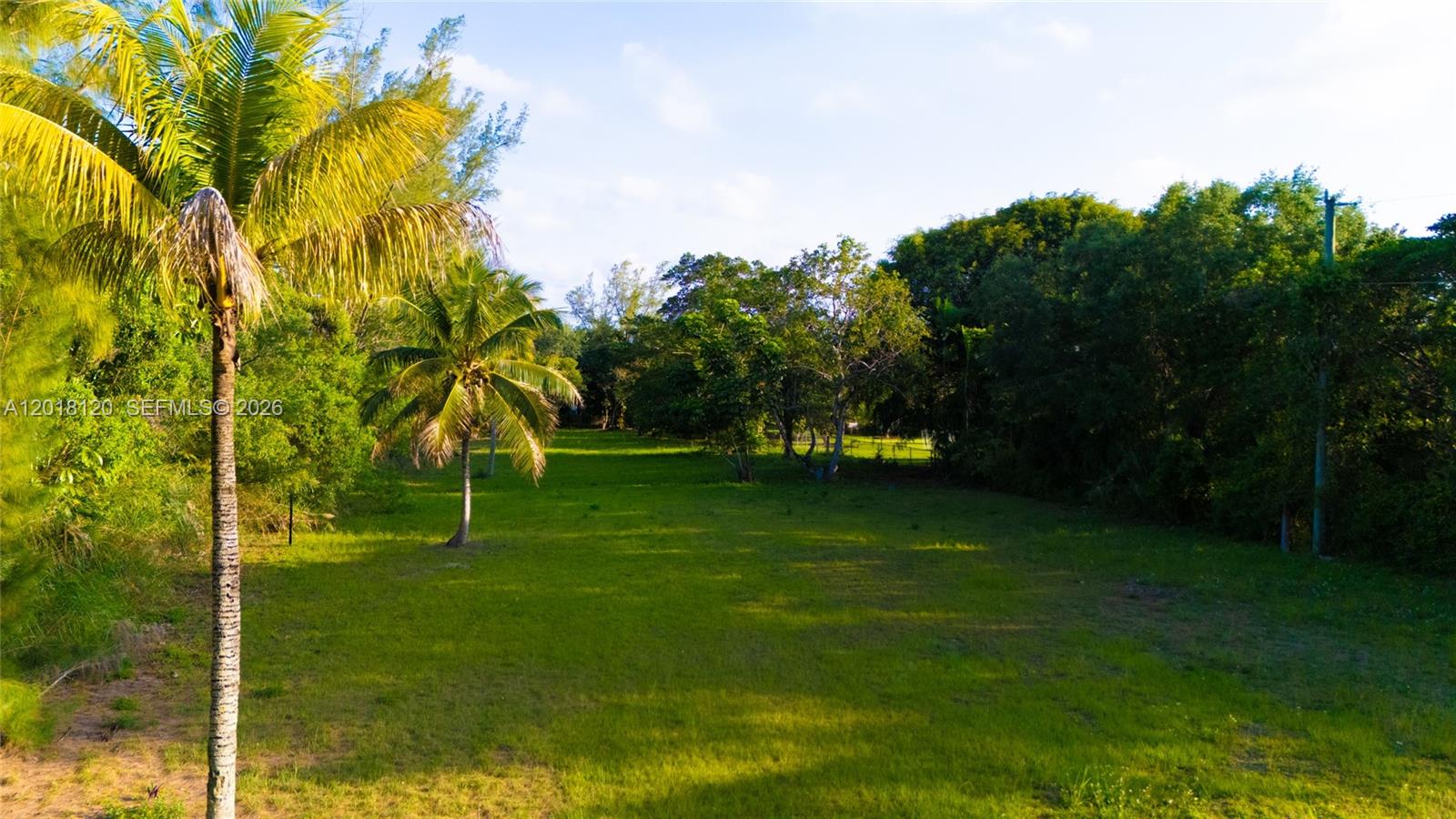 9840 Southwest 104th Street Miami, FL 33176 - Photo 19 of 34 a view of a park