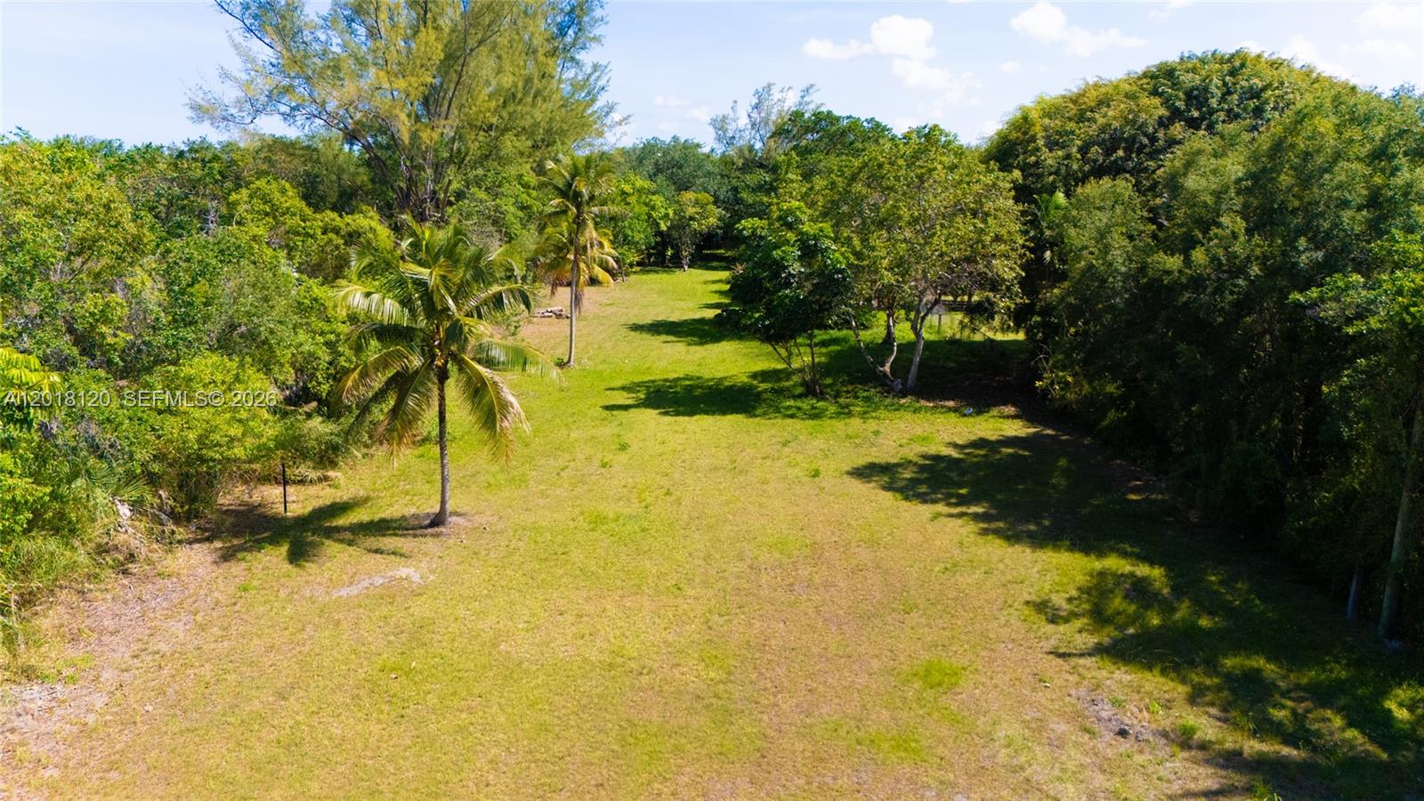 9840 Southwest 104th Street Miami, FL 33176 - Photo 26 of 34 a view of yard along with trees