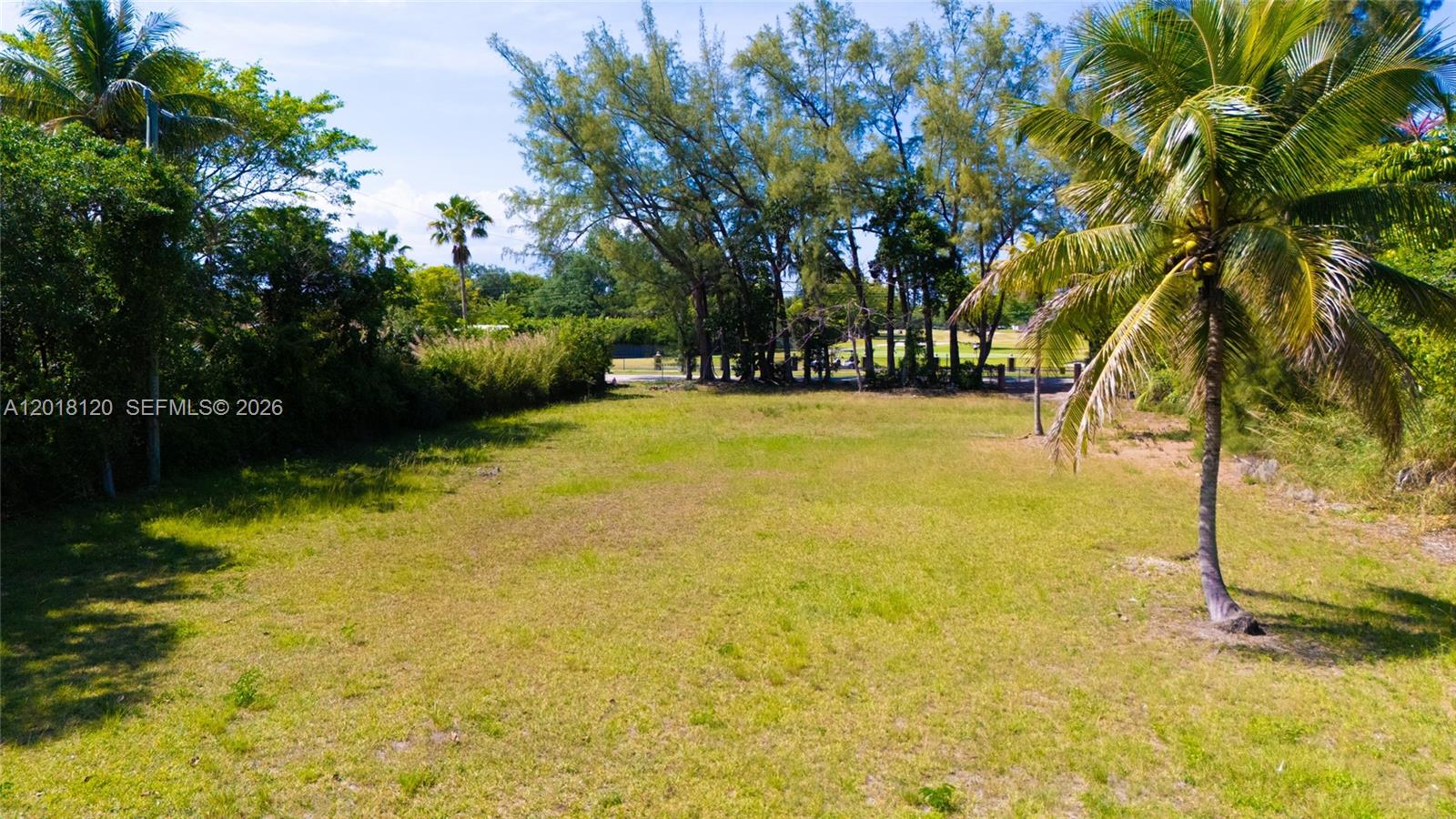 9840 Southwest 104th Street Miami, FL 33176 - Photo 28 of 34 a view of a yard with a trees