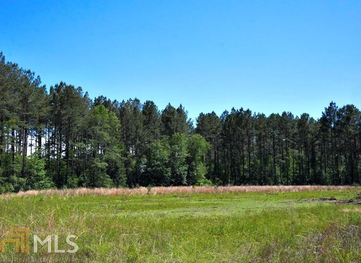 0 Re Lee Road Pembroke, GA 31321 - Photo 1 of 1