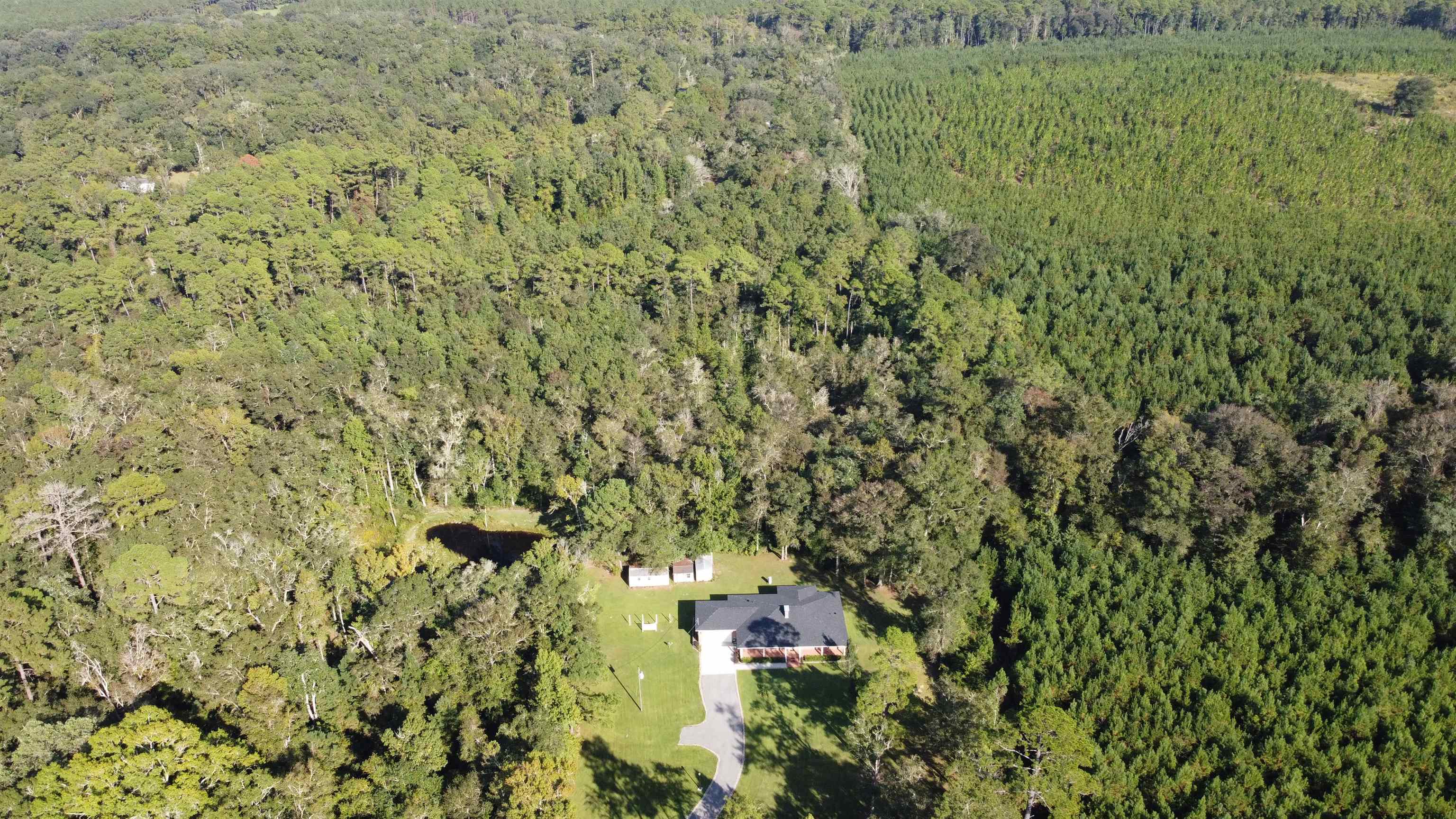 4193 Gamble Road Monticello, FL 32344 - Photo 27 of 36 Gallery Image 27