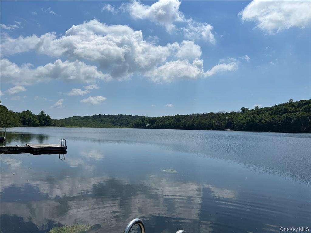 691 Long Pond Road Mahopac, NY 10541 - Photo 31 of 32 Long Pond LakePeaceful and serene!