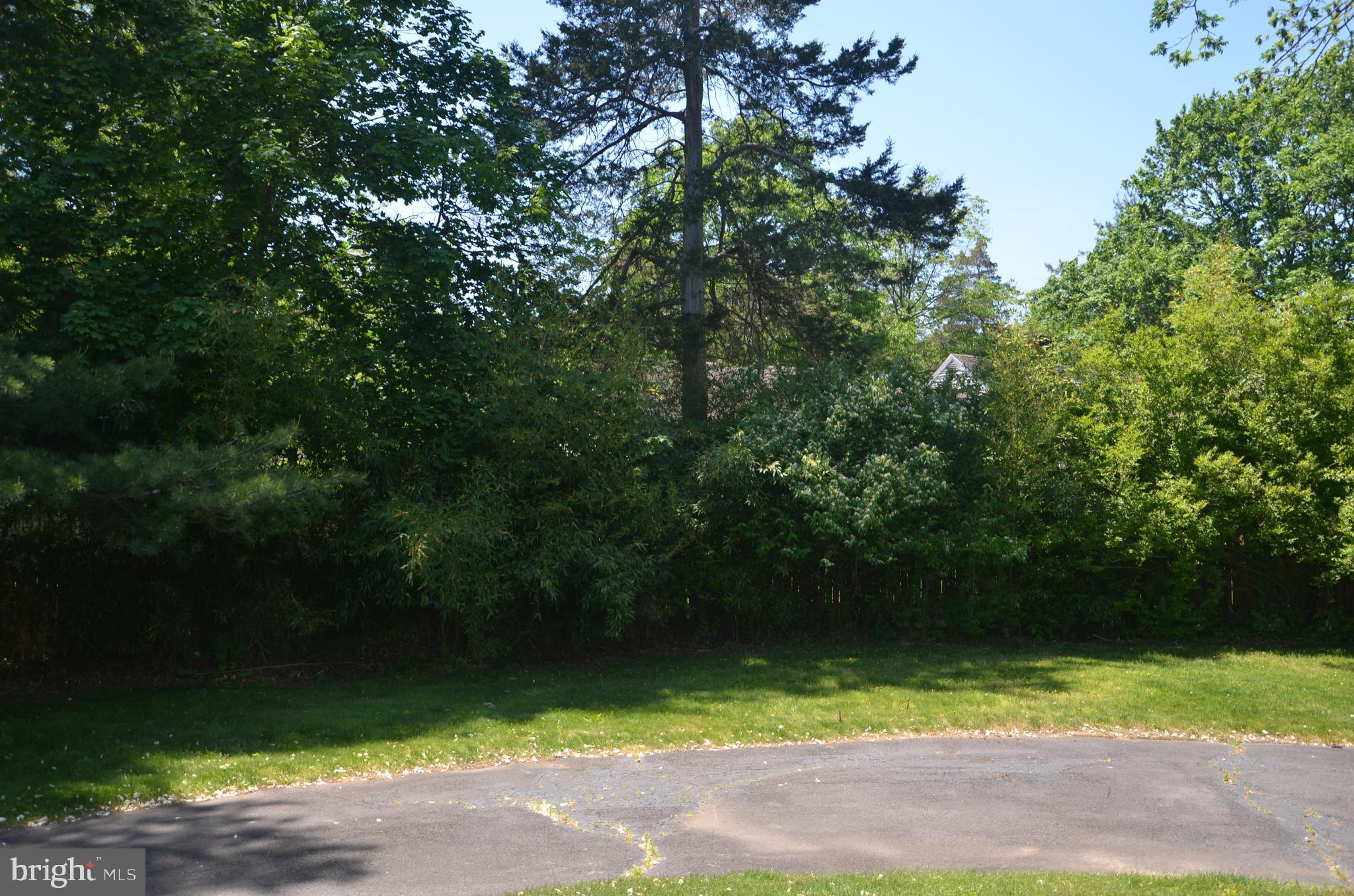 3 Millstone Road Princeton Junction, NJ 08550 - Photo 6 of 29