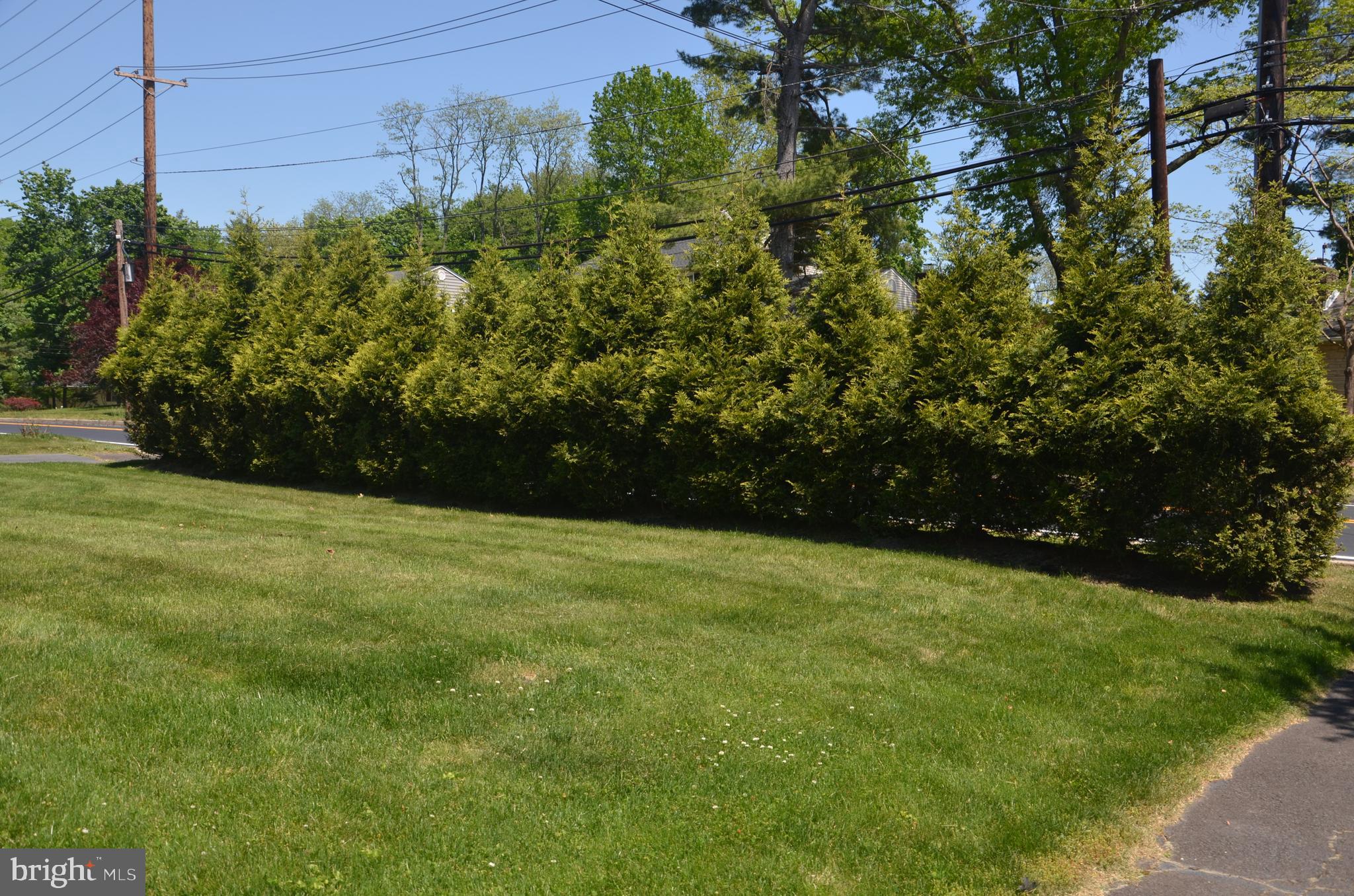 3 Millstone Road Princeton Junction, NJ 08550 - Photo 7 of 29