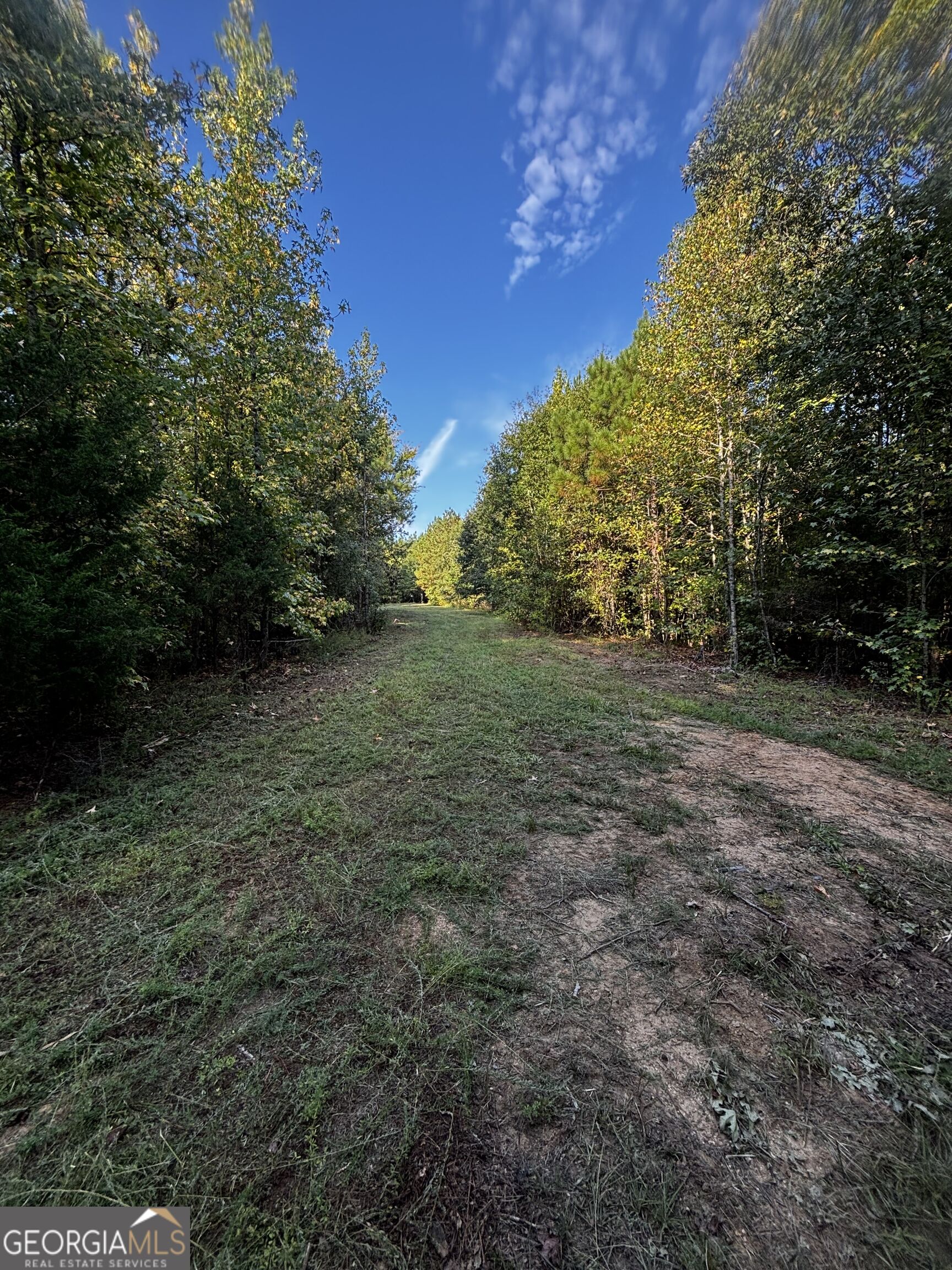 2807 Cedar Creek Road Elberton, GA 30635 - Photo 30 of 40 Gallery Image 30