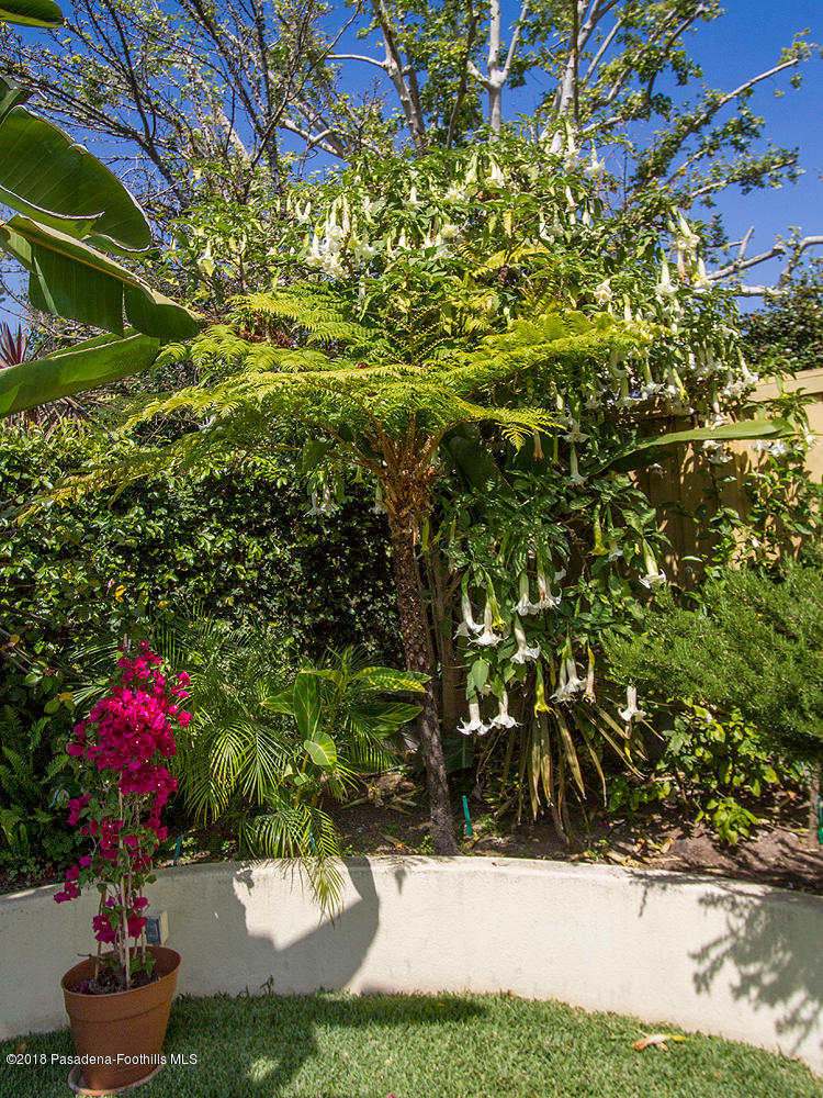 4166 Aralia Road Altadena, CA 91001 - Photo 26 of 38 4166 Aralia Rd 029-mls