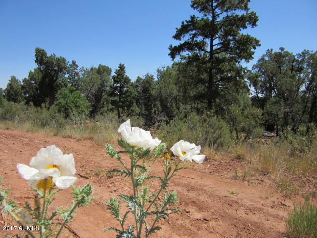 6812 Queens High Road, Unit 40925038 Show Low, AZ 85901 - Photo 1 of 26 1