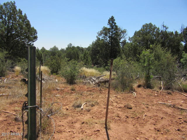 6812 Queens High Road, Unit 40925038 Show Low, AZ 85901 - Photo 11 of 26 11