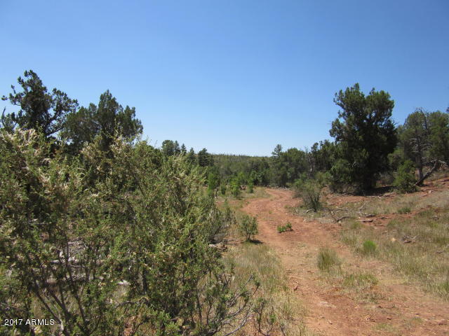 6812 Queens High Road, Unit 40925038 Show Low, AZ 85901 - Photo 13 of 26 14